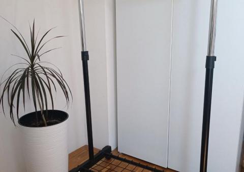 Dracena i stalci 