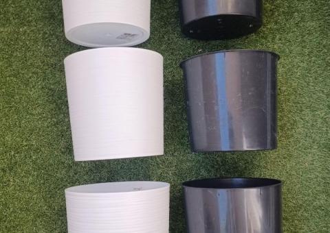Pots and plants sale 