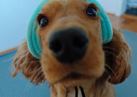 Summer hat 