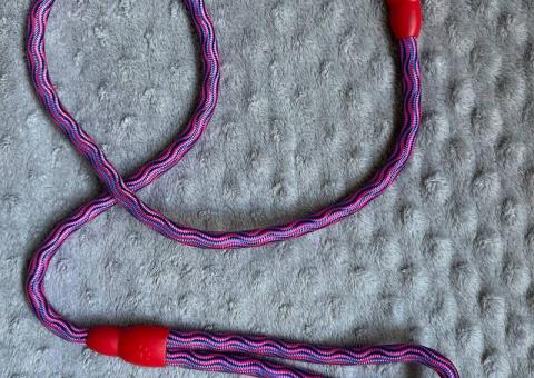 Leashes and collars for dogs 