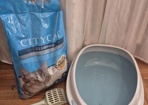 Лоток для кота 