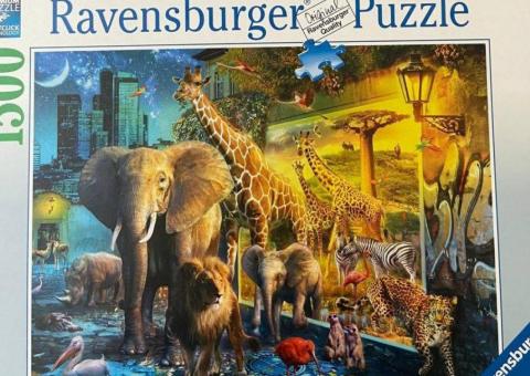 Puzzles for adults 