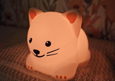 Color-changing cat night light! 