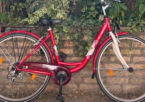 McKenzie Bike 