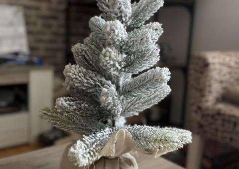 Small Christmas tree 