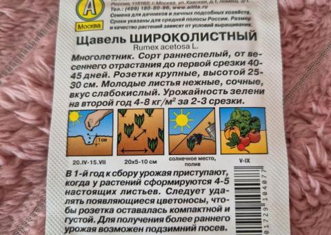 Sorrel seeds 