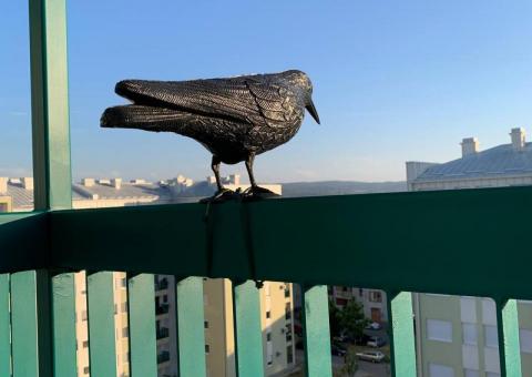 Crow decoy 