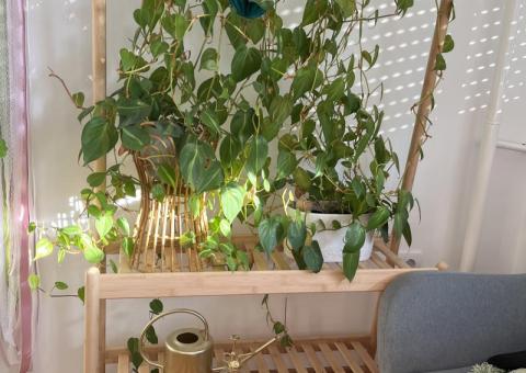 IKEA DAKSJUS 