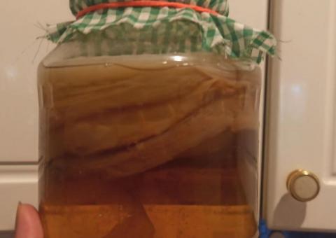 Kombucha 