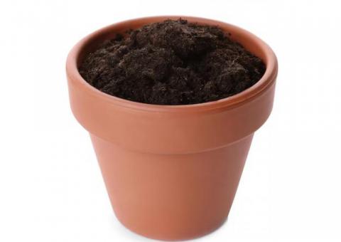 Buy/Accept land for flowers 