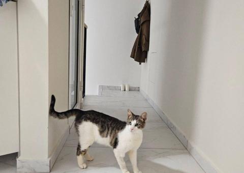 Emerald is looking for a home 