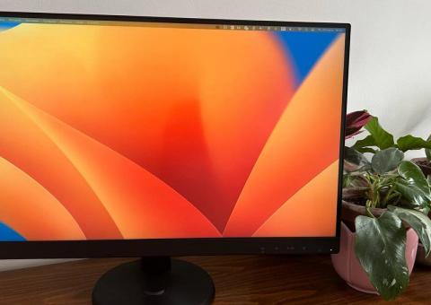 Lenovo Monitor 