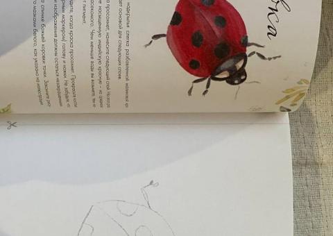 Книга по акварели 