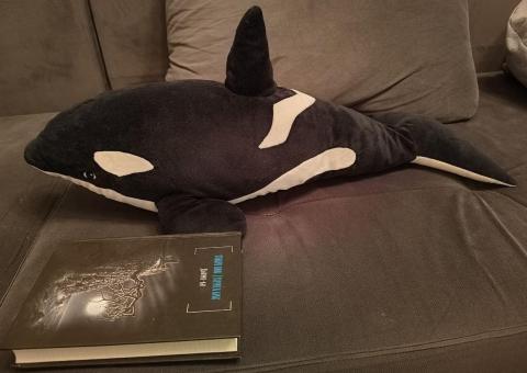 Shark 55 cm 