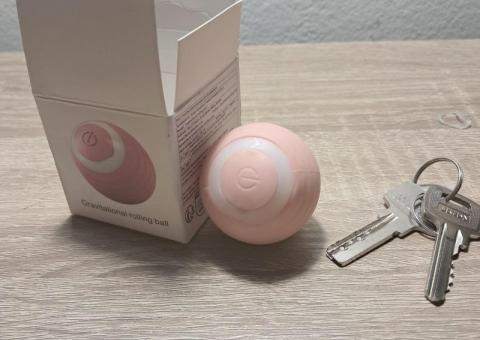 Cat toy 