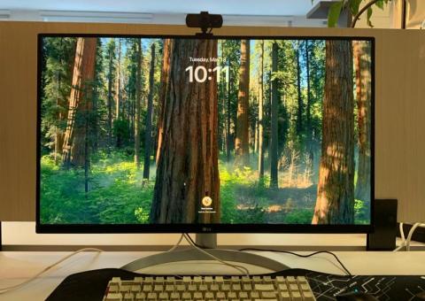 Monitor LG 31.5" 
