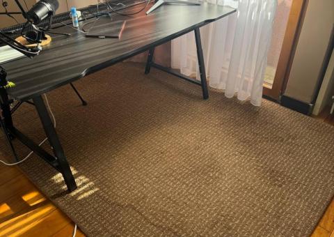 IKEA rug 