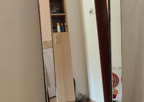 Mirror and clothes dryer 