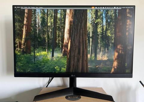 LG UltraGear Monitor 