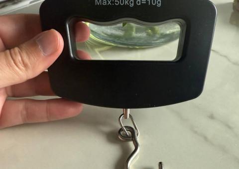 Luggage scales 