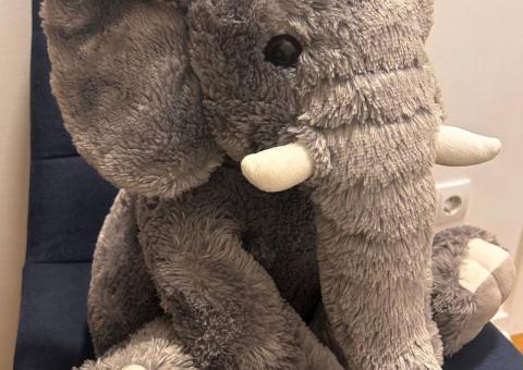 Selling an elephant! 