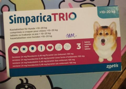 Tick treatments for dogs 
