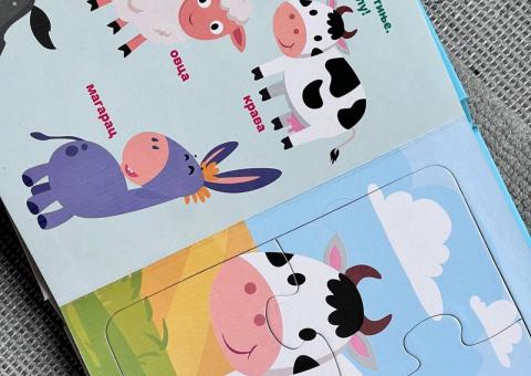 Puzzle book 