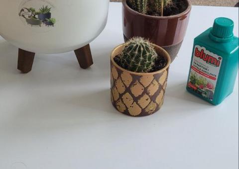 Selling pots and fertilizer 