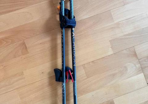 Walking poles 