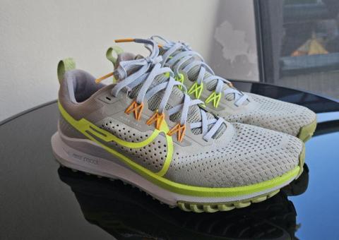 Nike Pegasus Trail 