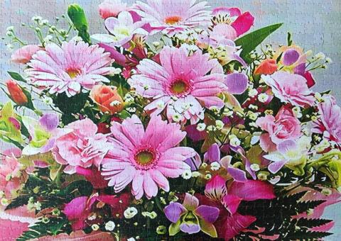 Jigsaw puzzles 