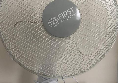 Fan 