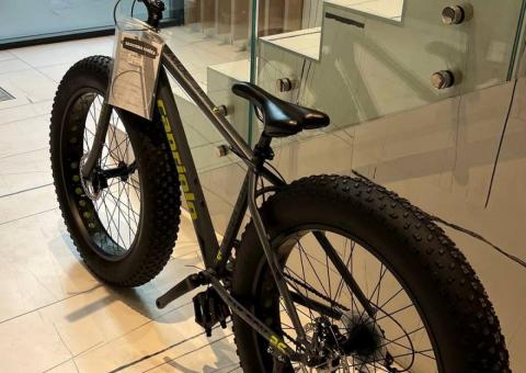 Capriolo Fat Bike 