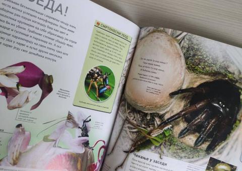 Children's encyclopedias 