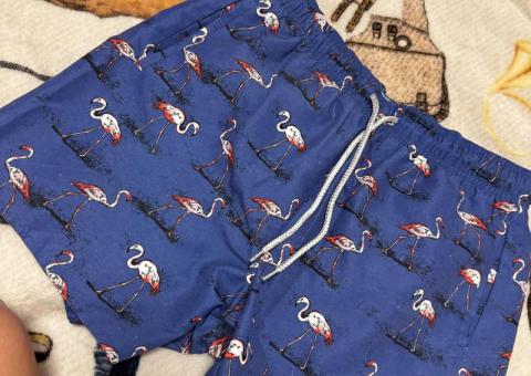 Men's shorts 