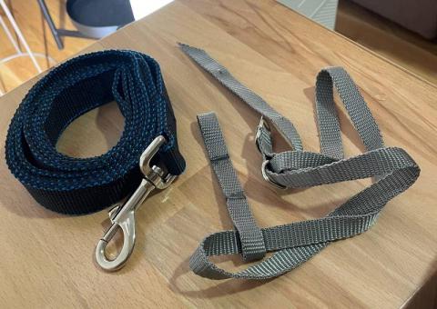 Leash and collar 