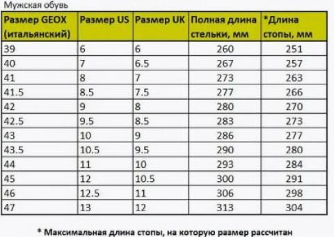 Мужские мокасины Geox 