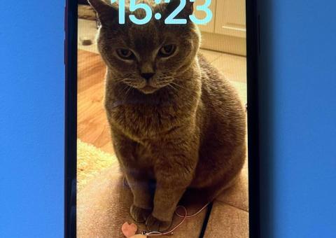 iPhone XR 64GB 