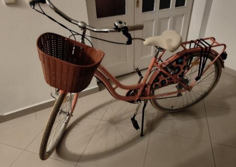 Selling a new bike 
