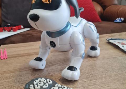Robot dog 
