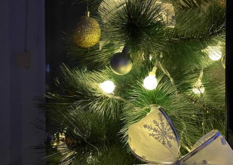 Christmas tree and decorations 