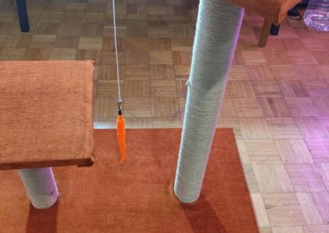 Cat scratcher for sale 