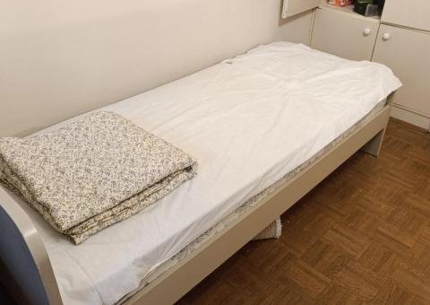 Blanket and mattress pad 