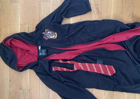 Harry Potter costume 