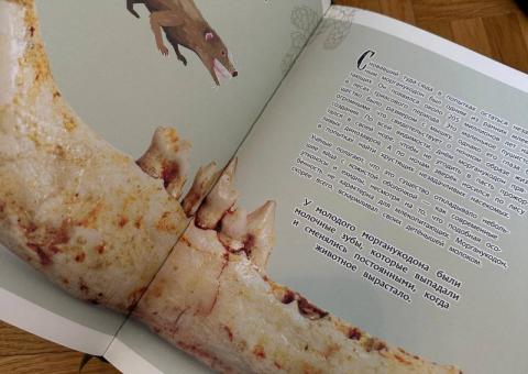 Книги, энциклопедия, наколенники 