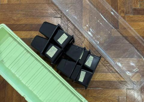 Mini staklenik za rasad 