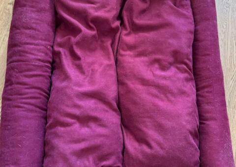 Free dog bed giveaway 