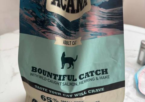 Acana cat food 