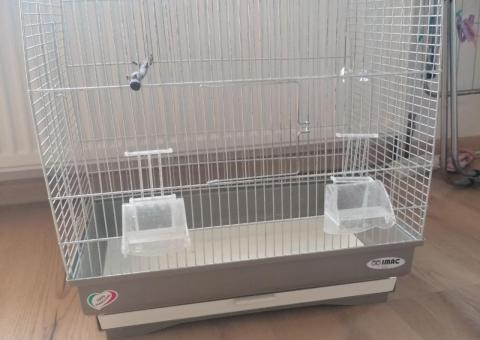 Bird cage 