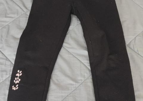 Pantalone za ulicu 